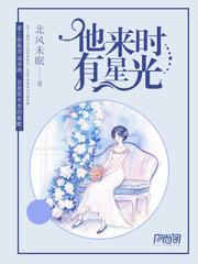 他来时有星光第二本