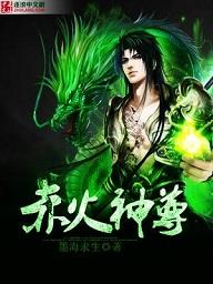 赤火神功 圣心诀