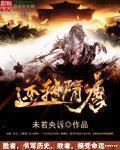 隋唐演义 转世