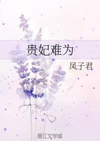 贵妃难为魏三郎喜欢谁