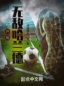 开局无敌哈兰德免费阅读