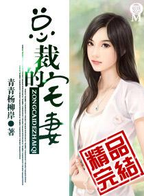总裁的宅妻原著免费阅读