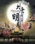 大唐明月剧情介绍