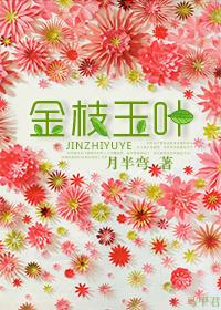 金枝玉叶什么时候开花?