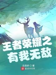 王者荣耀——王者无敌系统