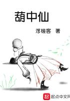 葫中仙txt