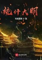 统计大明朝