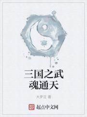 三国武魂系统