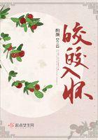 皎皎入怀尔屿