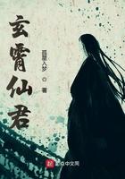 玄霄仙君笔趣阁
