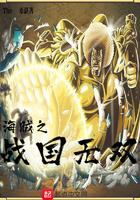 海贼之战国无双123