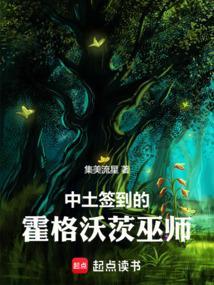 中土签到的霍格沃茨巫师 205