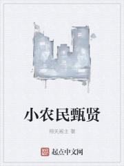农民小纯