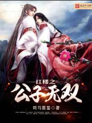 红楼之公子无双 贾琮