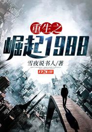 重生之崛起1979