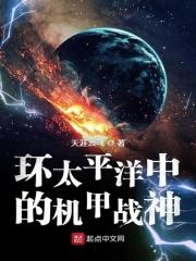 环太平洋机甲战斗视频