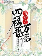 清穿之四福晋文婉笔趣阁