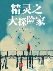 精灵大冒险第一季