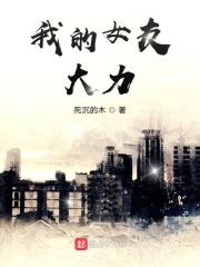 我的女友是诸葛大力林峰免费阅读