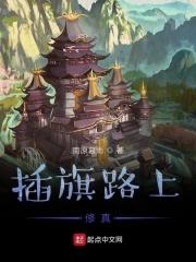 网络用语插旗是什么意思