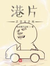 港综警察类