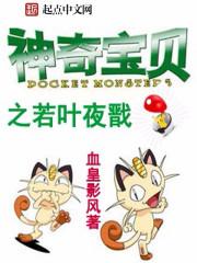 神奇宝贝之夜无月寒