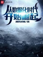 关于数据化时代的议论文