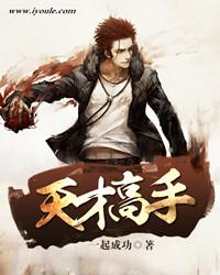天才高手后宫
