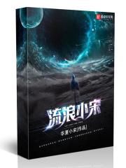 姓宋的流浪者