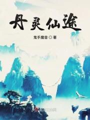 丹宗仙途