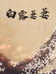 蒹葭萋萋 白露未晞在本诗的作用