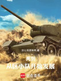 亮剑从区小队开始发展TXT免费