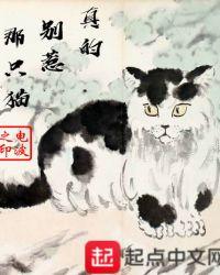 真的别惹那只猫免费阅读