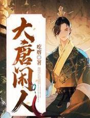 大唐闲人TXT电子书