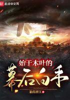 木叶幕后组织