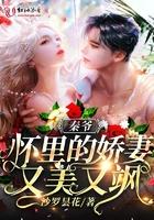 秦爷怀里的娇妻才是真大佬