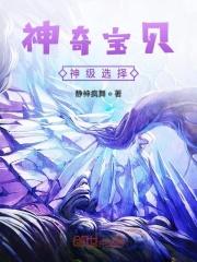 神奇宝贝选择系统叶
