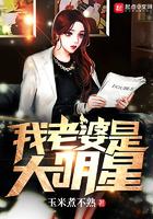 我老婆是大明星(改编)