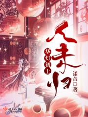 华灯初上什么意