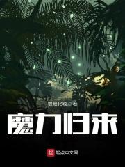 魔力归来钻石