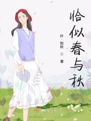 恰似春风多情书免费阅读