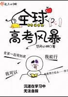 全球高考风暴txt云盘