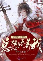 穿书后死对头总想撩我 百度