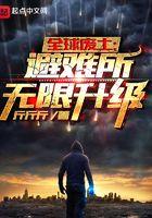 全球废土避难所无限升级精校