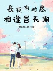 长夜有时尽简介