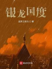 银龙出任务