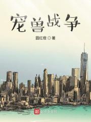 宠兽争斗搭配
