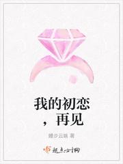 再见我的初恋情人