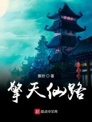 擎天仙路全书免费