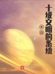 十级文明是怎样的
